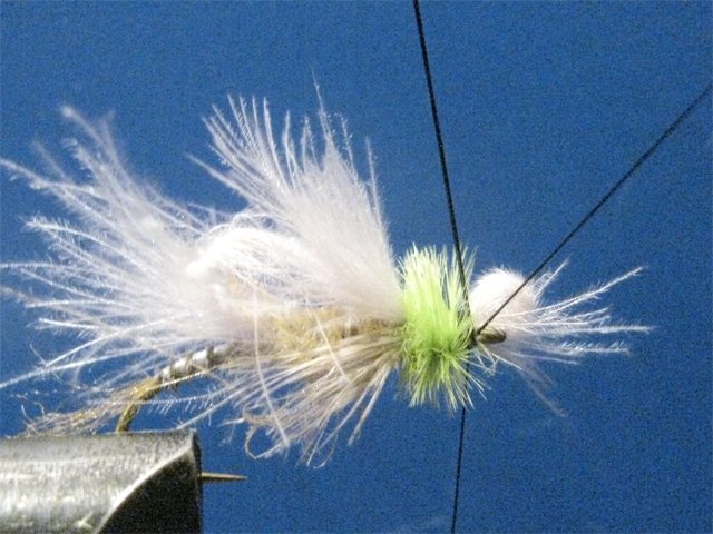 Biot CDC LW Emerger 