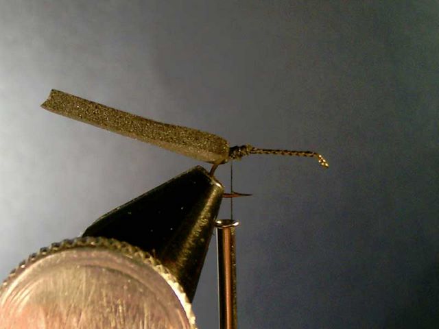 Black Ant (черный муравей)