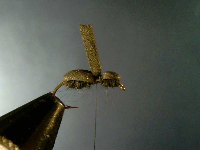Black Ant (черный муравей)