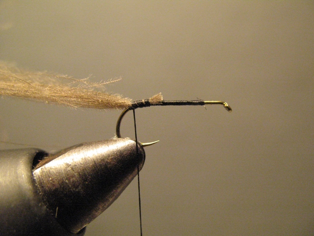 Bubble Sedge