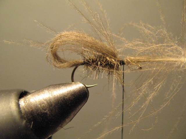 Bubble Sedge