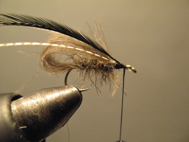 Bubble Sedge