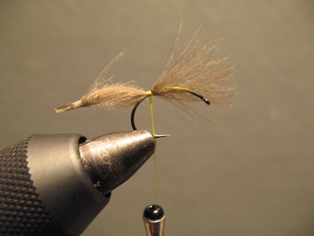 CDC-Puff Emerger