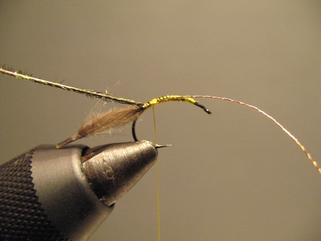 CDC-Puff Emerger