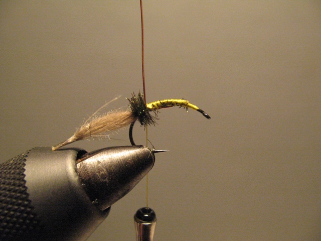 CDC-Puff Emerger