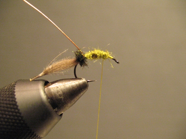 CDC-Puff Emerger