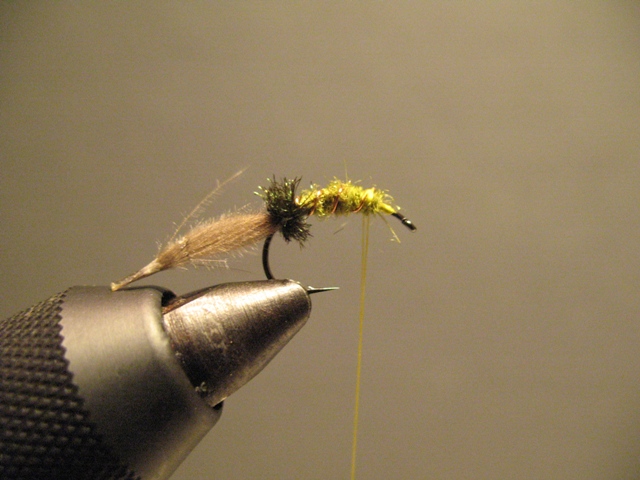 CDC-Puff Emerger