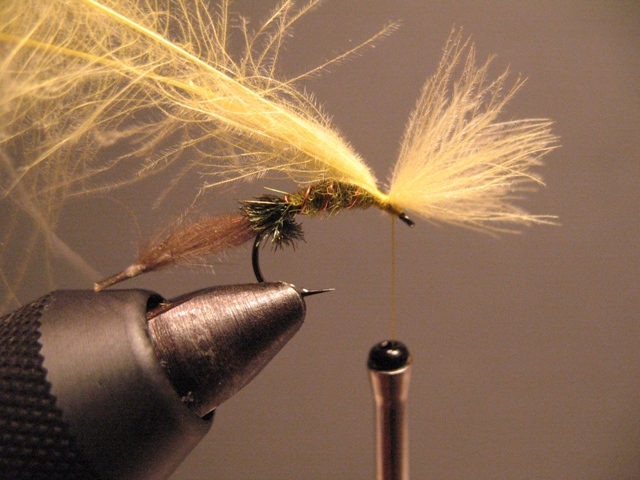 CDC-Puff Emerger