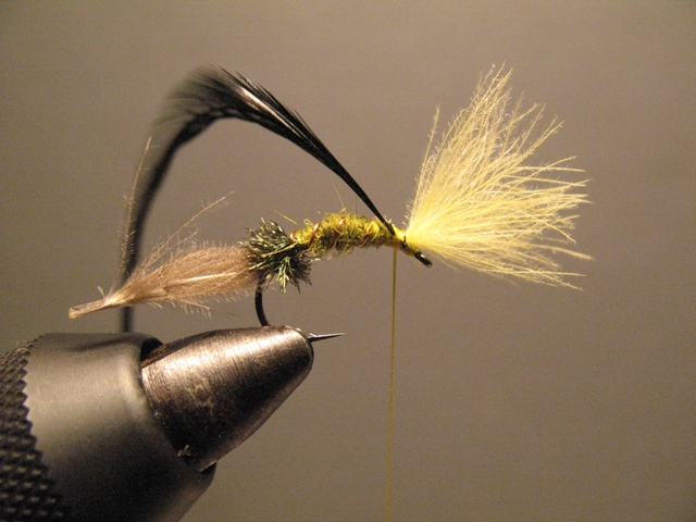 CDC-Puff Emerger