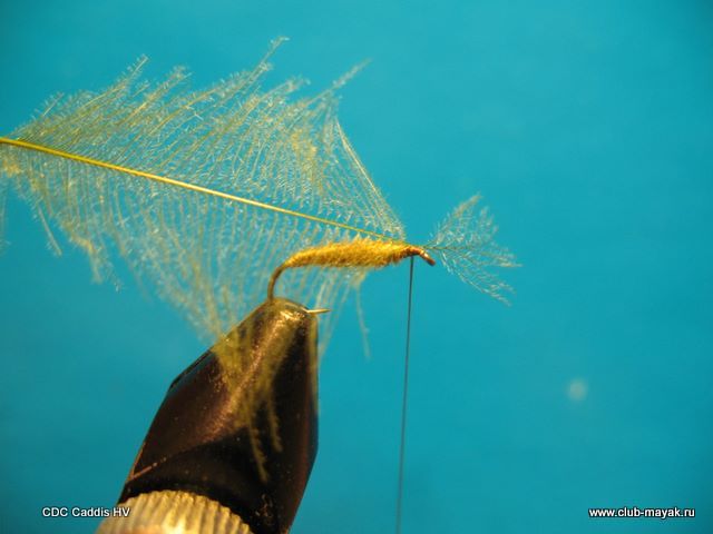 CDC Caddis HV