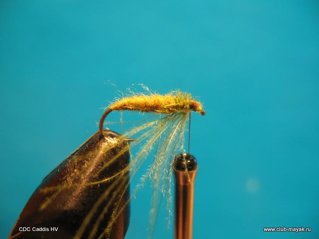 CDC Caddis HV