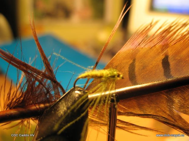 CDC Caddis HV