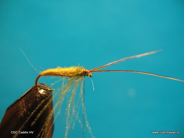 CDC Caddis HV