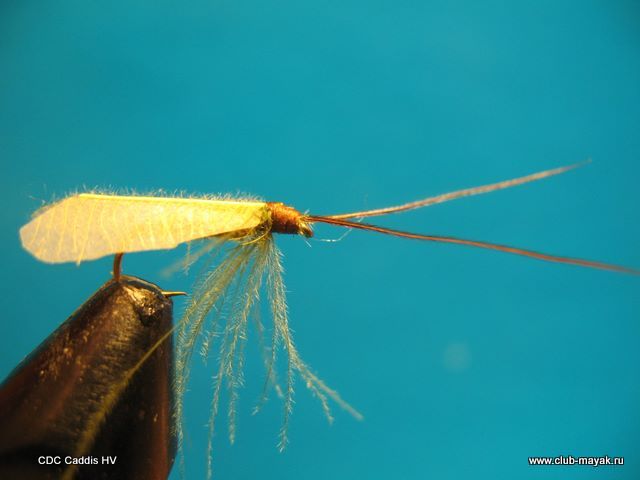 CDC Caddis HV