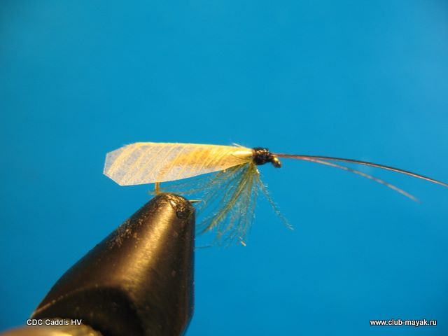 CDC Caddis HV