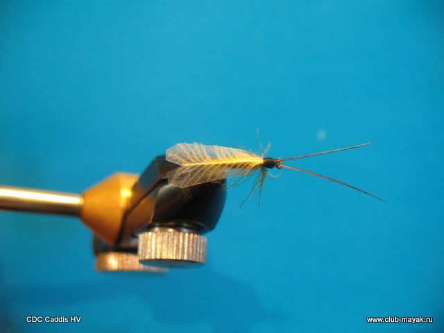 CDC Caddis HV