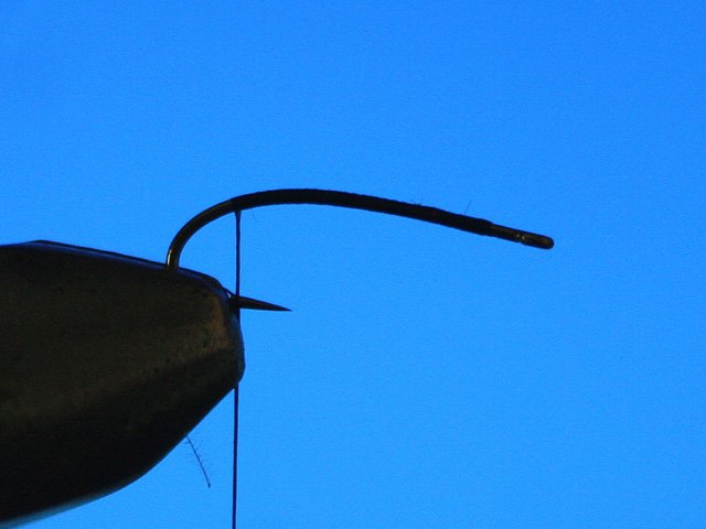CDC Caddis vr