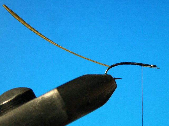 CDC Caddis vr