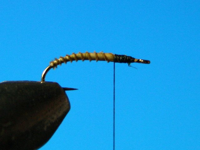 CDC Caddis vr