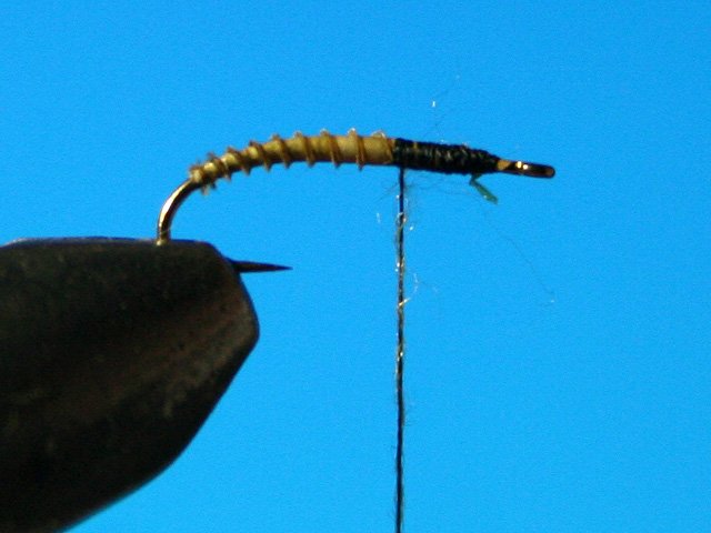 CDC Caddis vr