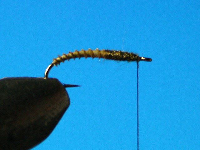 CDC Caddis vr