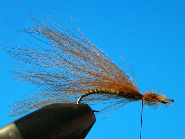 CDC Caddis vr