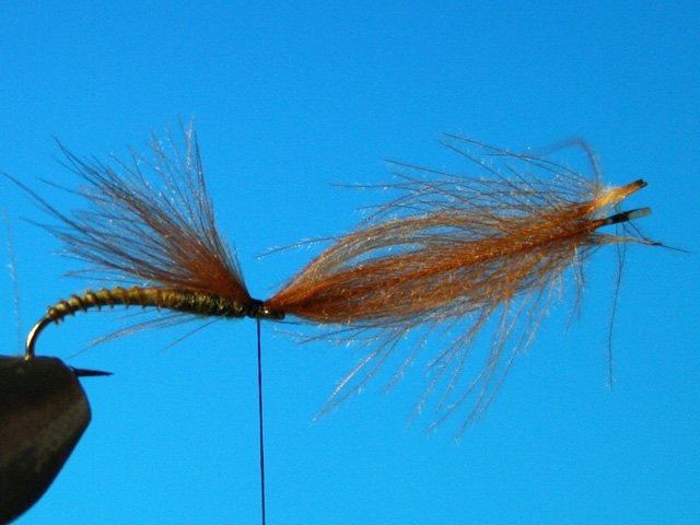 CDC Caddis vr