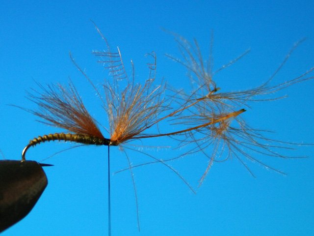 CDC Caddis vr