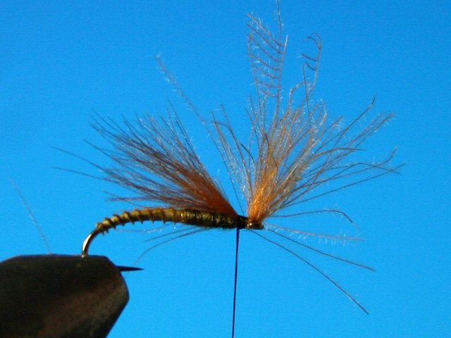 CDC Caddis vr