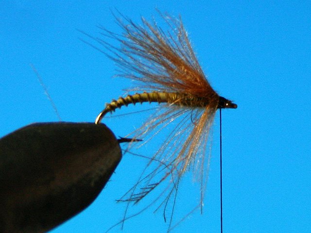 CDC Caddis vr