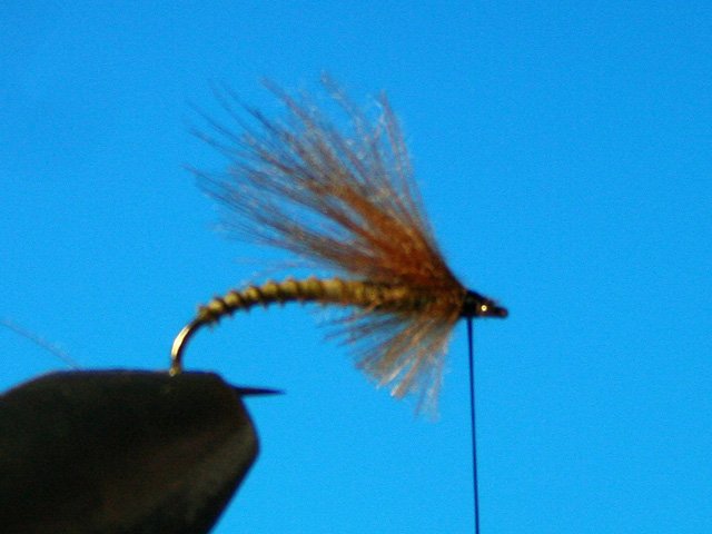 CDC Caddis vr