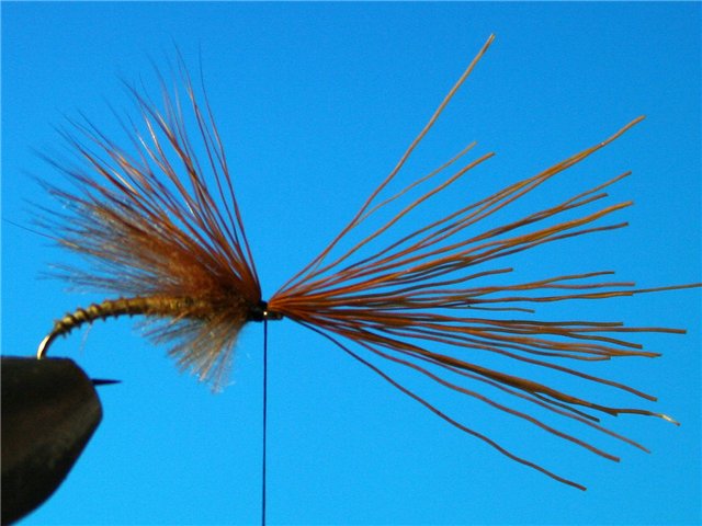 CDC Caddis vr