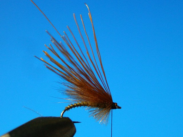 CDC Caddis vr