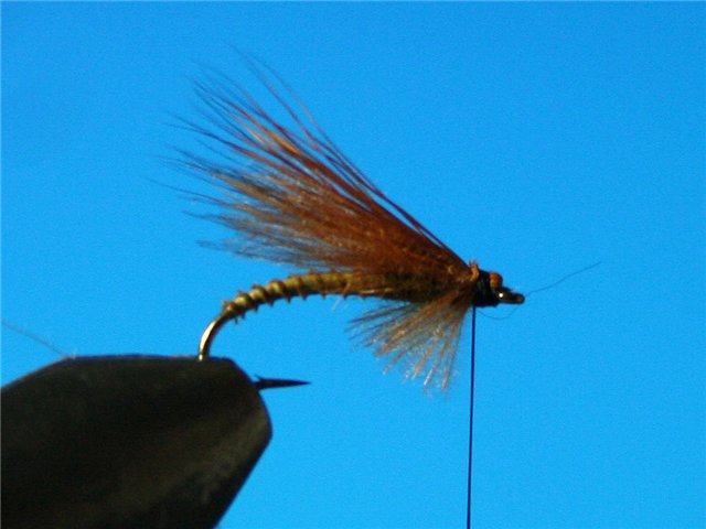 CDC Caddis vr