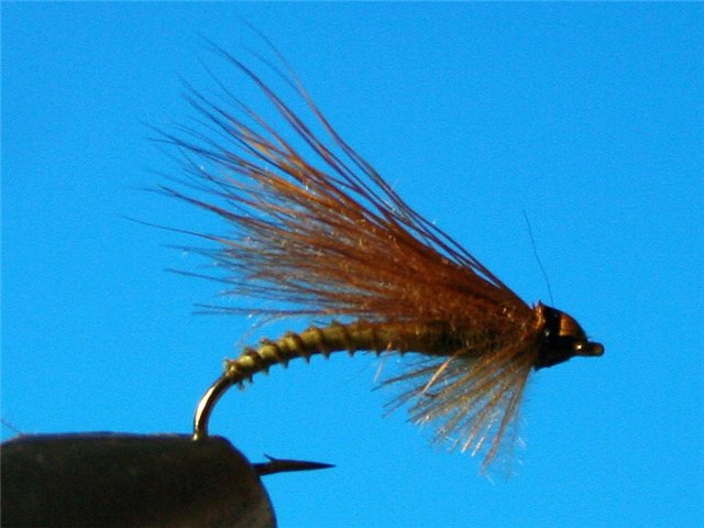 CDC Caddis vr