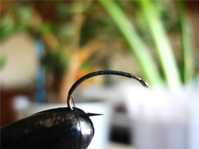 03_cdc_emerger_from_stepanych