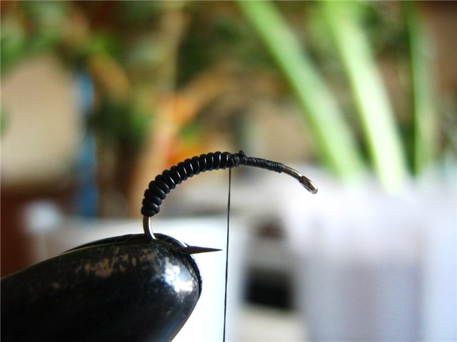 05_cdc_emerger_from_stepanych