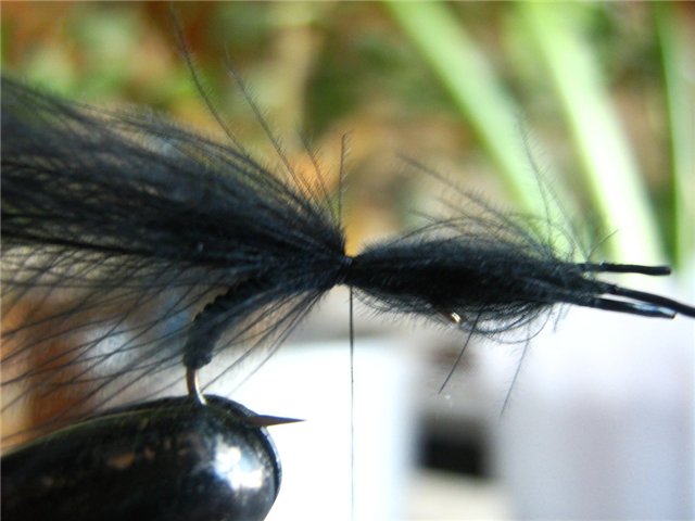 06_cdc_emerger_from_stepanych