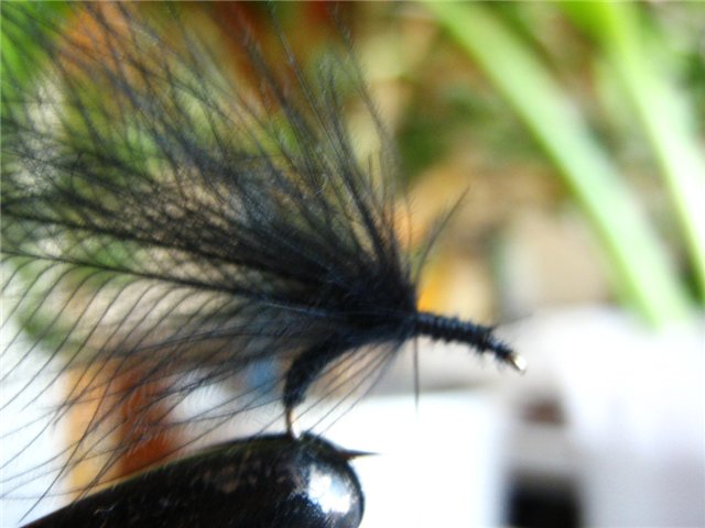 07_cdc_emerger_from_stepanych