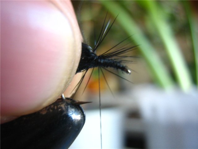 10_cdc_emerger_from_stepanych