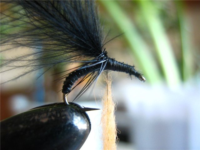 11_cdc_emerger_from_stepanych