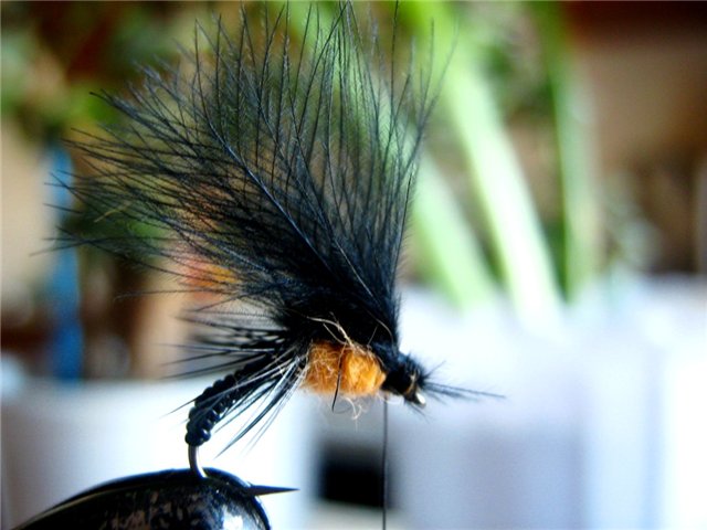 14_cdc_emerger_from_stepanych