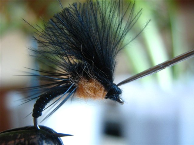 16_cdc_emerger_from_stepanych