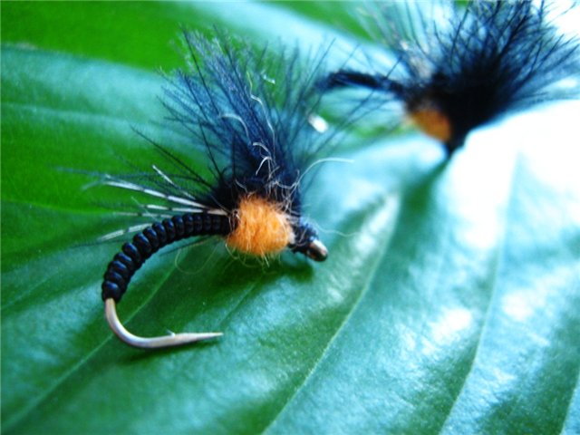 18_cdc_emerger_from_stepanych