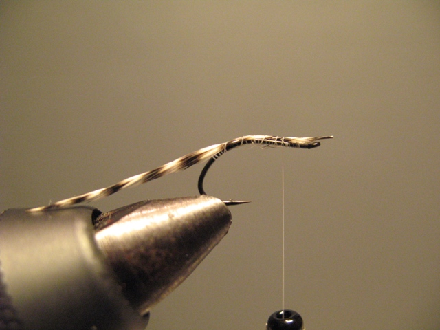 CDC Loop Midge