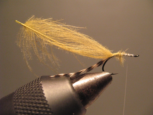 CDC Loop Midge