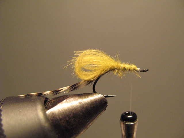CDC Loop Midge