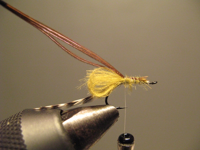 CDC Loop Midge