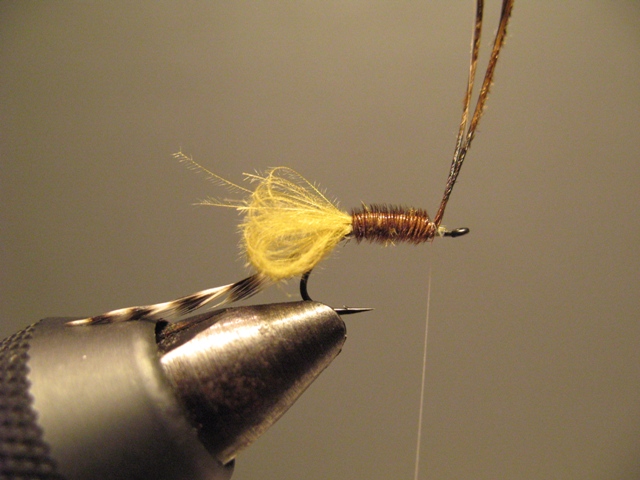 CDC Loop Midge