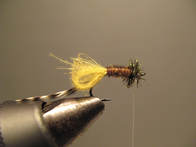 CDC Loop Midge